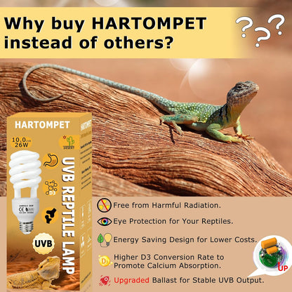 UVB 105.0 Reptile Light 13W, Compact Fluorescent Lamp，Coil UVB Desert Bulb–Lighting for Bearded Dragons, Lizards, Tortoises, Snakes, Geckos, Amphibians & Small Reptile Tanks