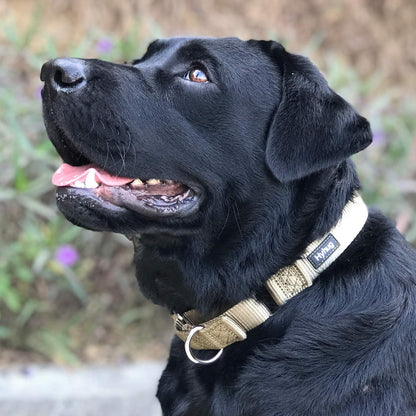 Hyhug Martingale Collar for Dogs Large Green |Escape - Proof Heavy Duty Nylon Durable No Pull, Ideal for Training & Daily Walks