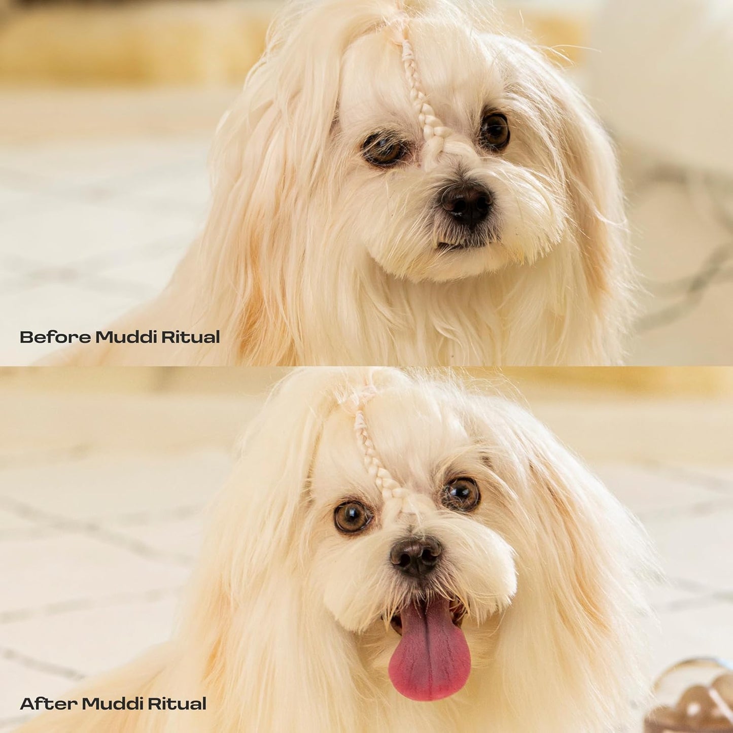 Dog Rinse-Free Towel Cleanse Shampoo & Conditioner with Bath Mitt – Sensitive Skin, Stress & Itch Relief Gentle Leave-in Serum – 98.65% Naturally Derived, Hydrate & Deodorize – 8 × 10ml