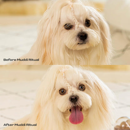 Dog Rinse-Free Towel Cleanse Shampoo & Conditioner with Bath Mitt – Sensitive Skin, Stress & Itch Relief Gentle Leave-in Serum – 98.65% Naturally Derived, Hydrate & Deodorize – 8 × 10ml