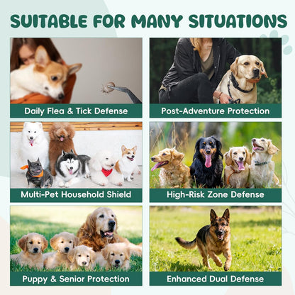 Flea and Tick Prevention for Dogs Chewable, Natural Oral Flea and Tick Treatment, Dog Flea Chews Support Skin & Digestive Supplement for Puppies & All Breeds 200 PCS