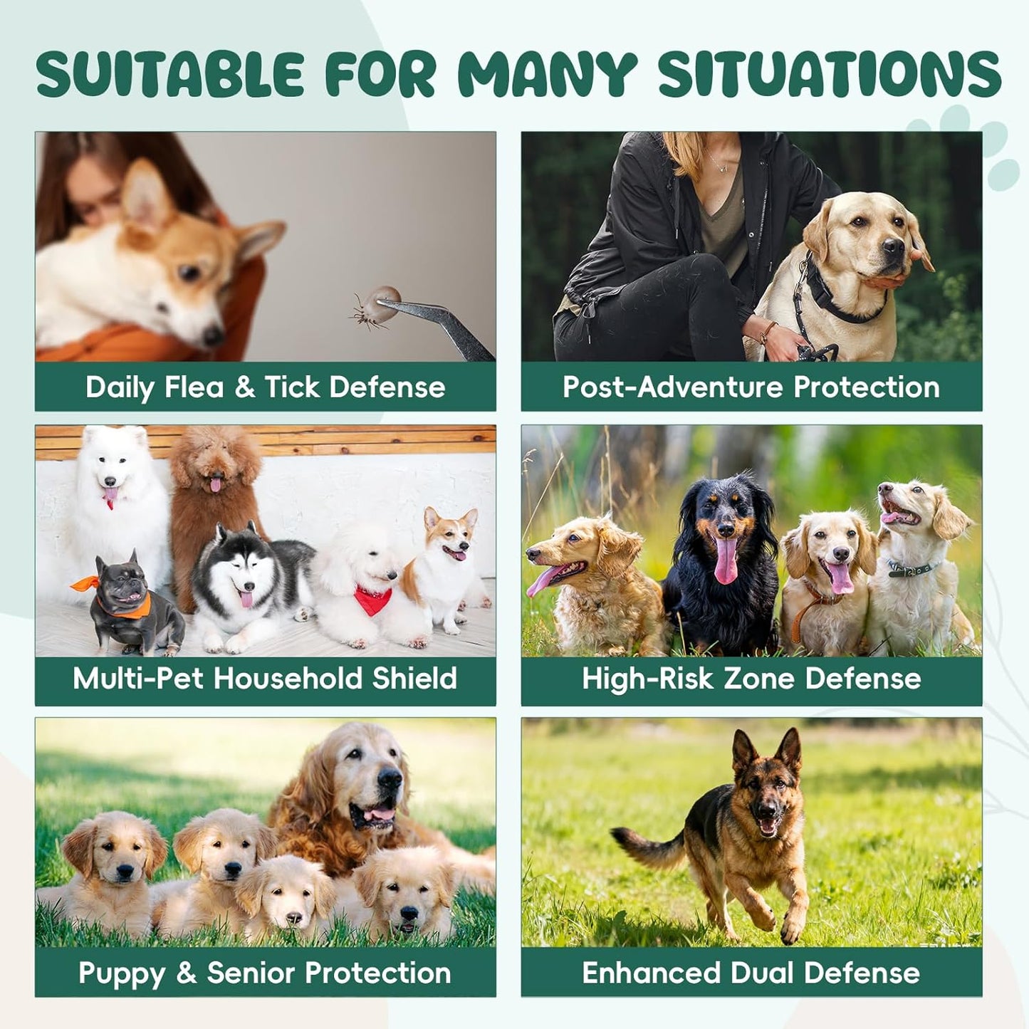 Flea and Tick Prevention for Dogs Chewable, Natural Oral Flea and Tick Treatment, Dog Flea Chews Support Skin & Digestive Supplement for Puppies & All Breeds 200 PCS