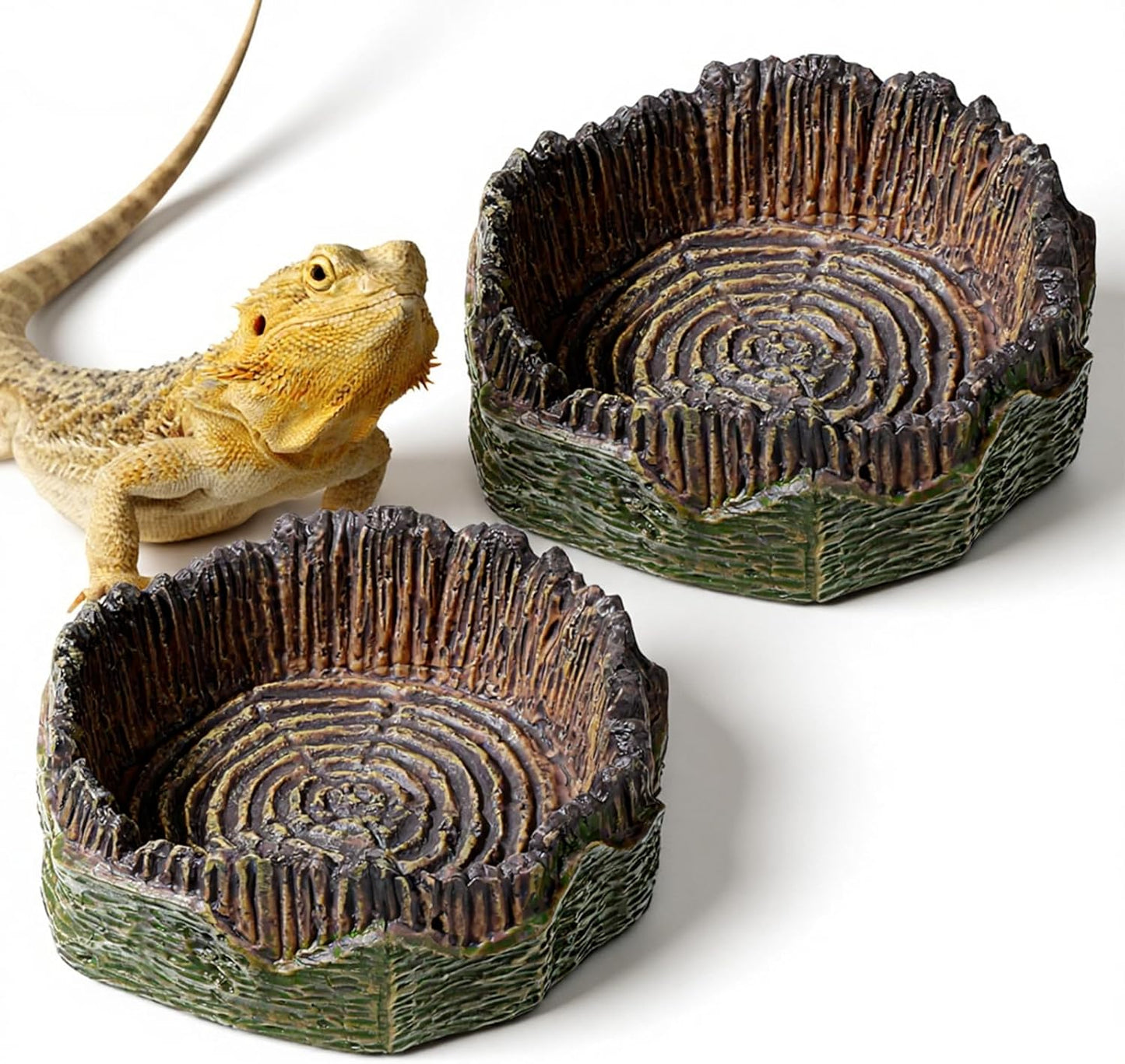 Small Reptile Food Dish, 2 PCS Reptile Water Dish Food Bowl Reptiles Feeding Foods Resin Terrarium Bowl for Bearded Dragon Gecko Frog Snake Chameleon Tortoise