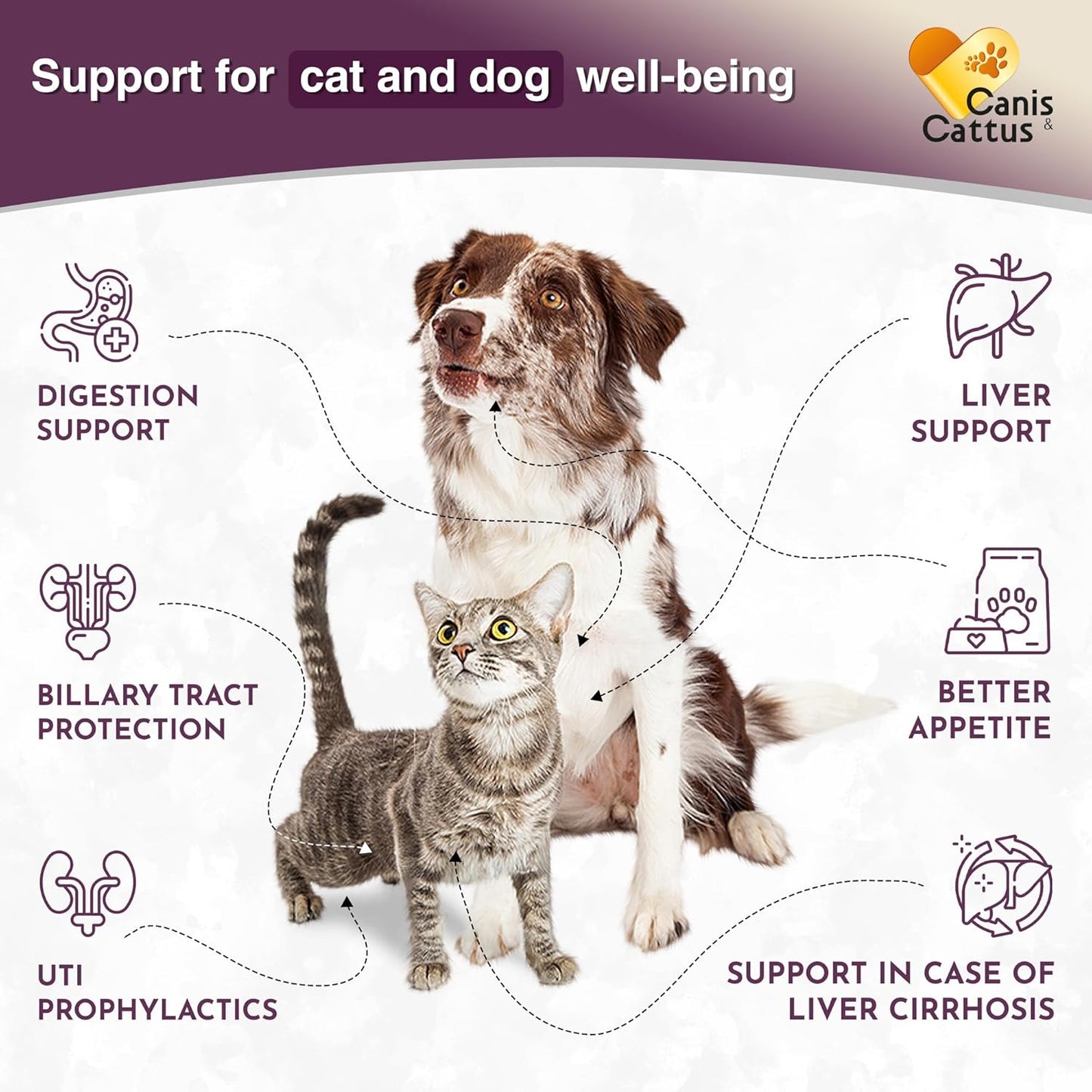 Canis&Cattus Milk Thistle for Dogs and Cats - Liver and Kidney Support for Pets – Salmon Flavor Drops for Daily Wellness – 2 oz