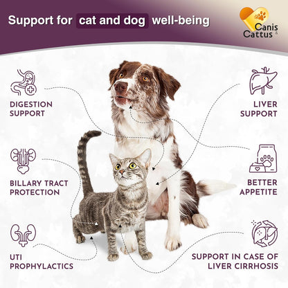 Canis&Cattus Milk Thistle for Dogs and Cats - Liver and Kidney Support for Pets – Salmon Flavor Drops for Daily Wellness – 2 oz