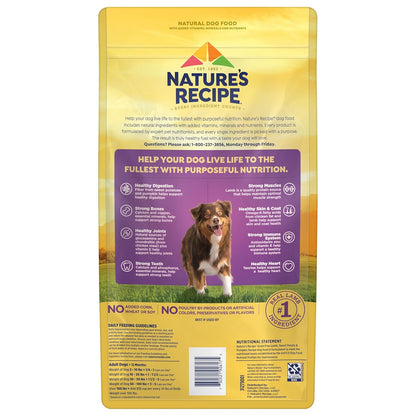Nature′s Recipe Grain Free Lamb, Sweet Potato & Pumpkin Recipe Dry Dog Food, 4 lb. Bag (Pack of 2)