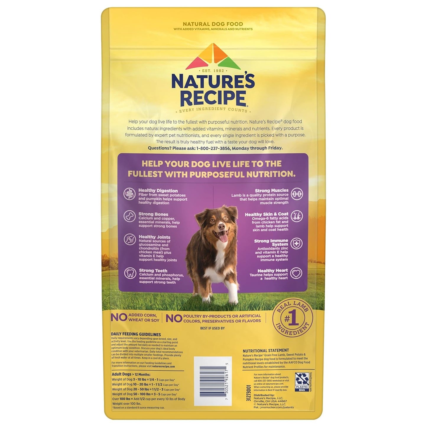 Nature's Recipe Grain Free Dry Dog Food, Lamb, Sweet Potato & Pumpkin Recipe, 4 lb. Bag
