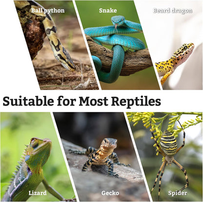 VCEPJH Snake Climbing Branch, 2Pcs Reptile Wood Natural Cork Log and 4 Pcs Reptile Plants, Climbing Wood Branch Terrarium Hanging Fake Plant Leaves for Snake Leopard Gecko Lizard Chameleon