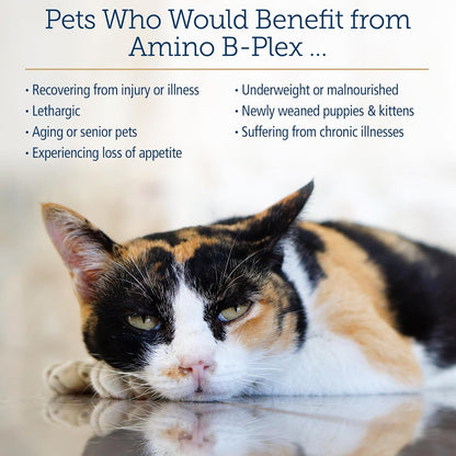 Rx Vitamins Amino B Plex Cat & Dog Supplement - Vitamin B Complex Liquid Plus Amino Acids for Dogs & Cats - Appetite Booster and Weight Gainer Cat & Dog Vitamins - 2 oz