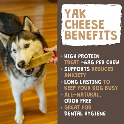 Mighty Paw Yak Cheese Chews for Dogs | All-Natural Long Lasting Pet Treats. Odorless and Great for Oral Health. Limited-Ingredient Chews for Puppies & Power-Chewers (Small, 12 Pack)