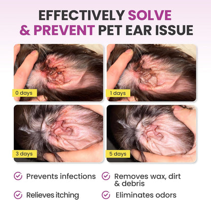 Probiotics for Dogs - Dog Probiotics with 5 Enzymes & 4 Prebiotics + Pet Ear Cleaning Finger Wipes for Dogs & Cats