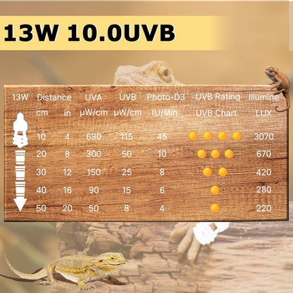 UVB 105.0 Reptile Light 13W, Compact Fluorescent Lamp，Coil UVB Desert Bulb–Lighting for Bearded Dragons, Lizards, Tortoises, Snakes, Geckos, Amphibians & Small Reptile Tanks