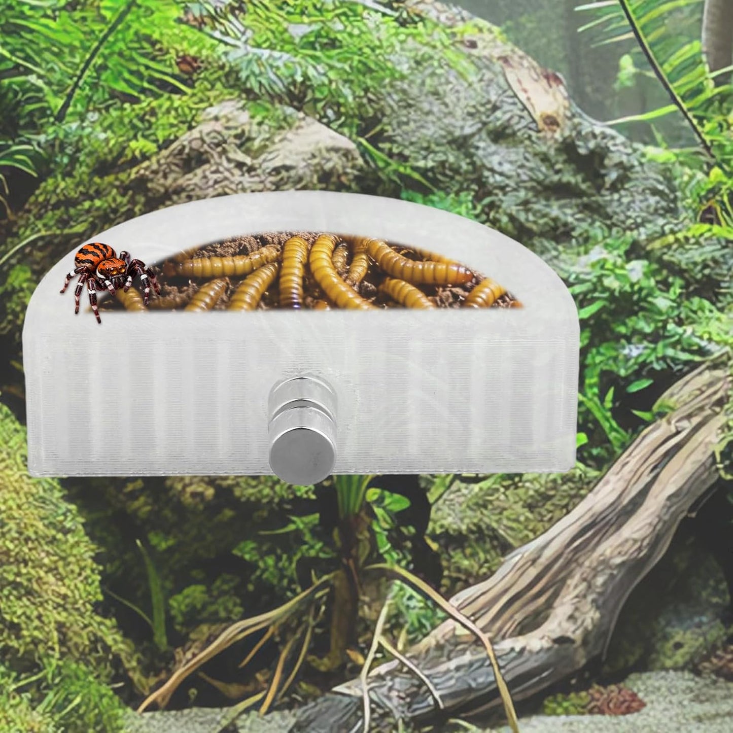 5pcs Jumping Spider Feeding Dish Kit, Magnetic Half Round Jumping Spider Food Feeder Water Bowl Dispenser Leak-Proof Enclosure Accessories Hide Decor for Tarantula Mantis Small Reptiles