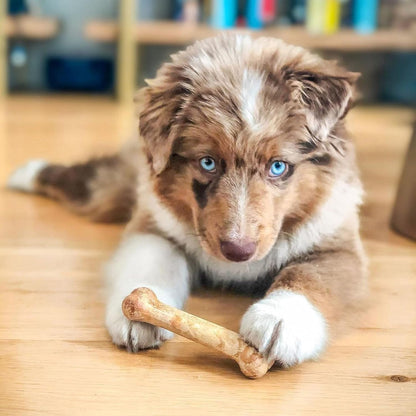 Nylabone Healthy Edibles Natural Puppy Chews Long Lasting Treats for Puppies, Roast Beef, Apple & Bacon Flavor, X-Small/Petite (3 Count)