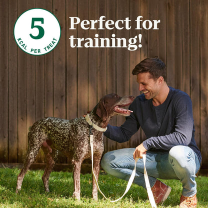 Nutro Crunchy Dog Treats with Real Mixed Berries, 16 oz. Bag