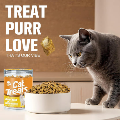 Natural Crunchy & Soft Cat Treats for Indoor Cats - Catnip & Salmon Flavor, Cat Snacks with Real Salmon, Dental Care & Digestive Support, Healthy Training Treats for Cats & Kittens