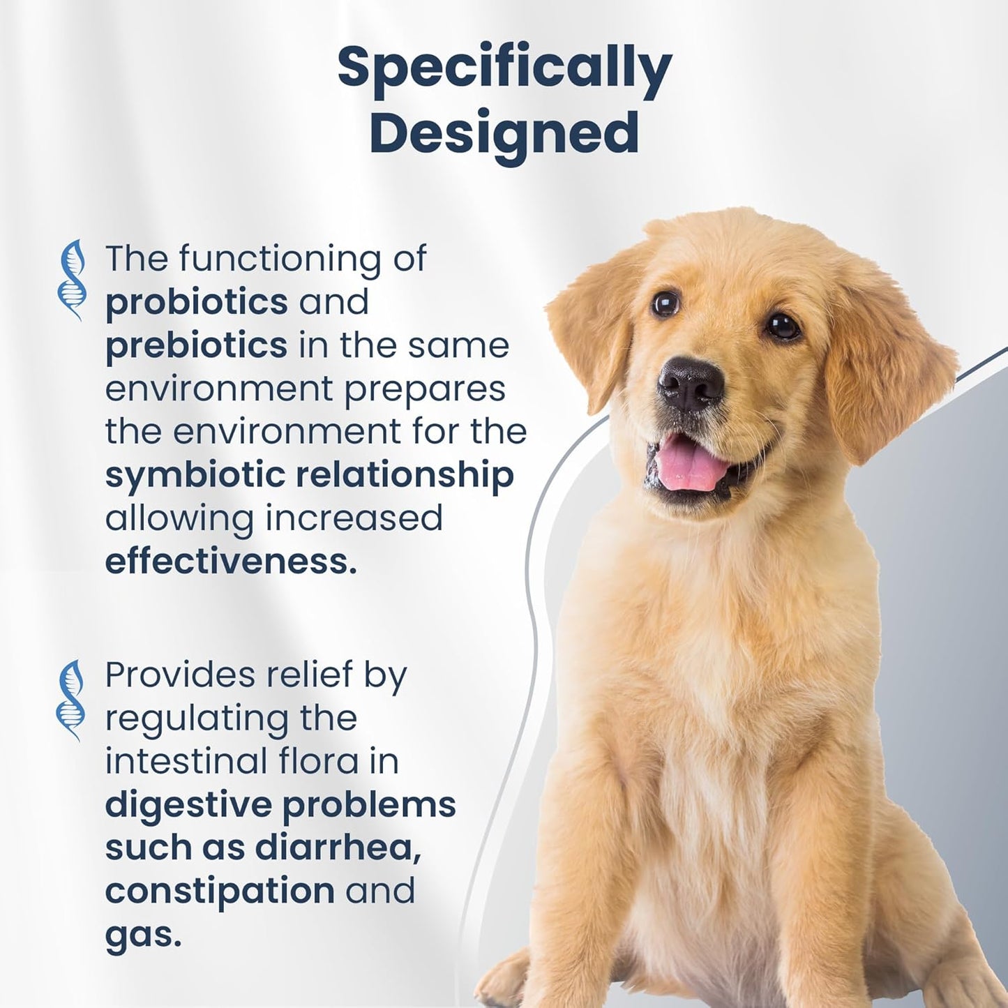 Bio PetActive Synbioflora Digestive Support for Medium and Large Breed Dogs | Probiotics & Prebiotics Supplement | Supports Digestion, Gut & Stomach Health | Helps with Diarrhea and Gas | 60 Chews