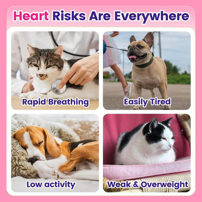 CoQ10 for Dogs, Coenzyme Q10 Heart & Cardiovascular Support Supplement for Dogs Cats, with Taurine & Chicken Liver Powder, Promotes Heart Health, Cognitive and Energy Support - 120 Capsules