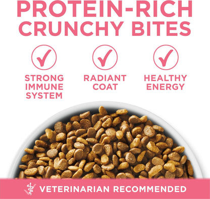 Purina ONE High Protein, Natural Dry Kitten Food, +Plus Healthy Kitten Formula - 16 lb. Bag