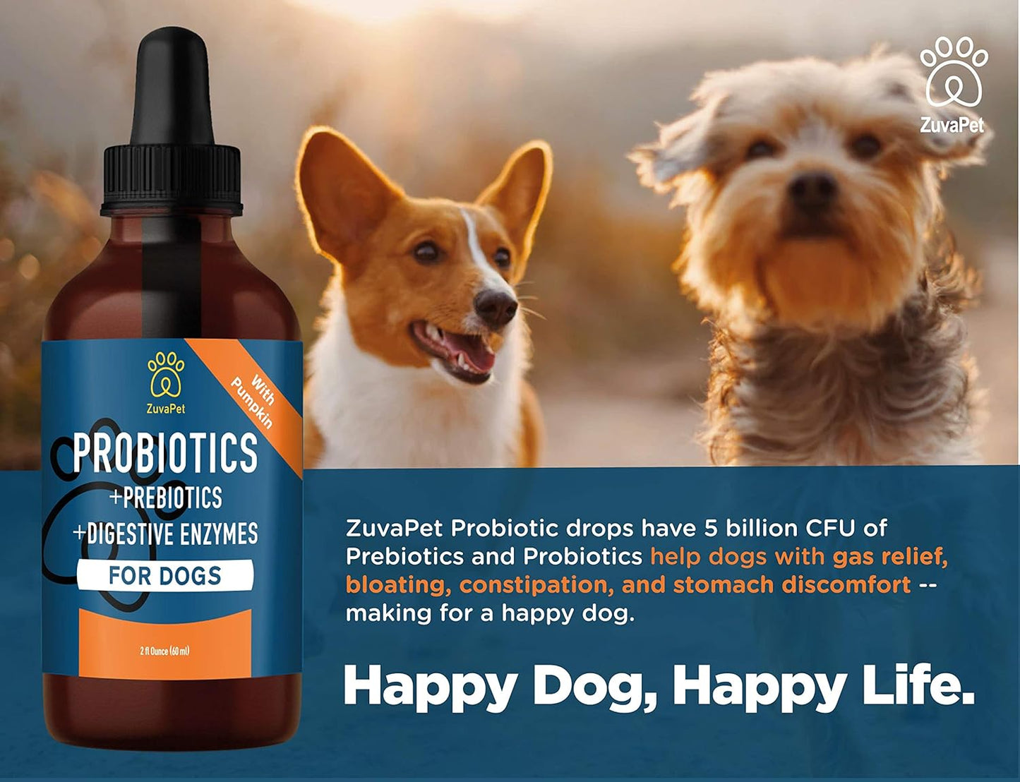 Probiotics for Dogs - Dog Probiotics for Diarrhea - Natural Digestive Enzymes for Upset Stomach Relief + Gas, Constipation Health & Itch Relief - Prebiotic Pet Supplies - 120 Servings