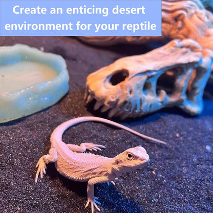 BNOSDM Reptile Sand Bearded Dragons Substrate Sands Lizard Terrarium Bedding Desert Blend for Snakes Geckos Chameleon Tortoise Frogs Scorpion Invertebrates Amphibian 2.2lb (Black)