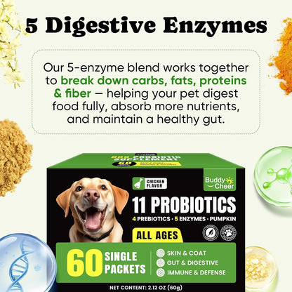 Probiotics for Dogs - Dog Probiotics Powder with 11 Strains, 4 Prebiotics & 5 Enzymes, Pet Probiotic Help Flora Balance, Digestion Health & Gut Support, Diarrhea and Yeast Infection -60 Single Packets