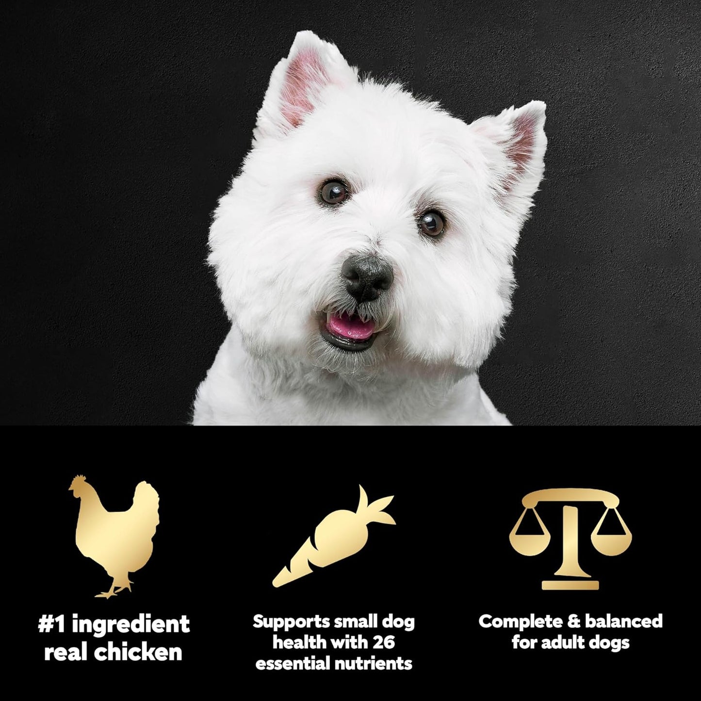 Cesar Small Breed Dry Dog Food Rotisserie Chicken Flavor and Spring Vegetables Garnish, 12 lb. Bag