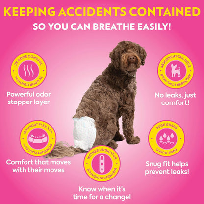 OUT! Petcare Disposable Dog Diapers Female, Potty Training, Female Dog Diapers, Puppy Training, Pet Supplies, For Incontinence, Puppy Essentials, 18”- 25” Waist, Medium/Large, 14 Count