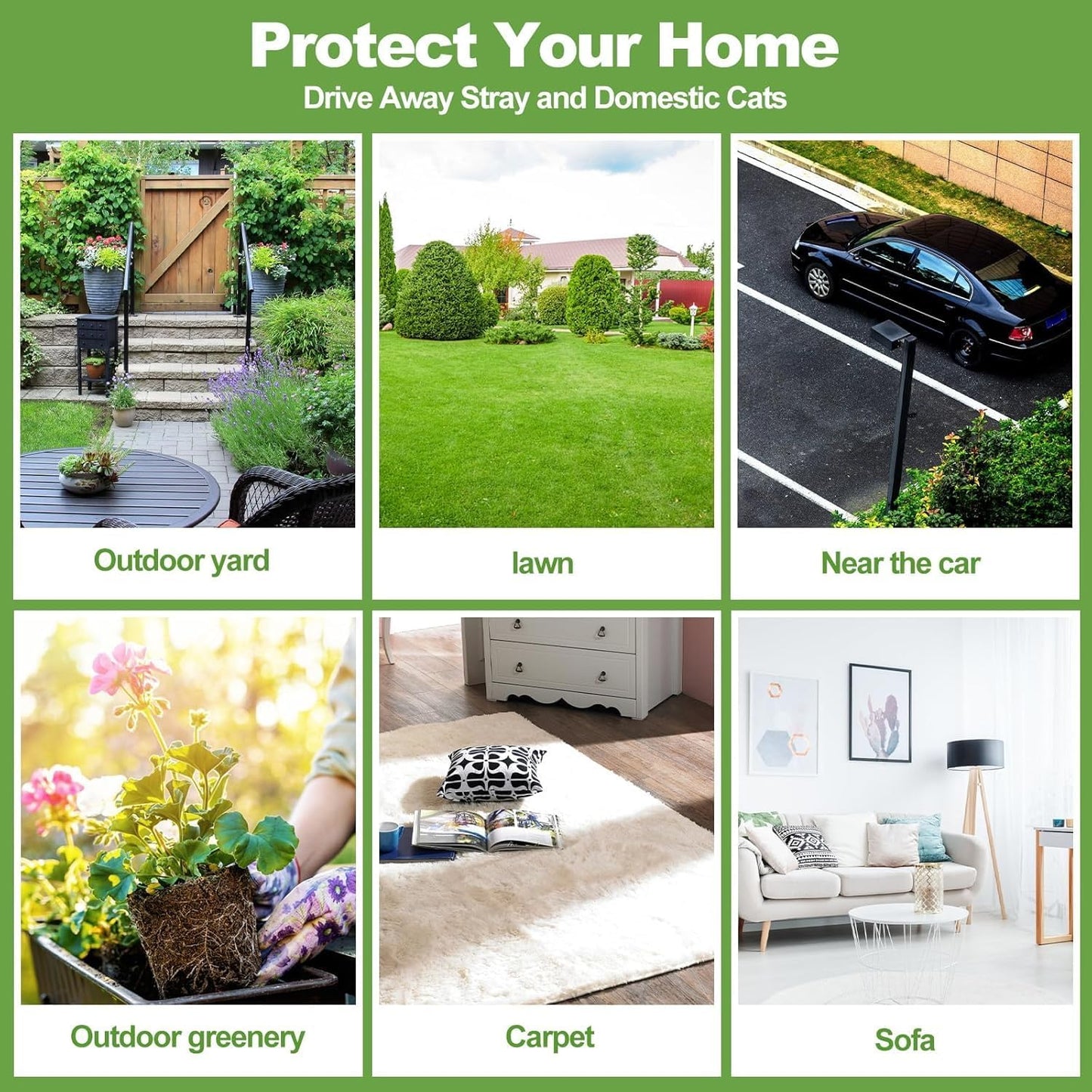 Cat Repellent Outdoor to Keep Cats Away, Natural Peppermint Oil Cat Deterrent Outdoor and Indoor, Keep Cats Out of Yard Permanently, Protect Your Yard and Furniture (Green)