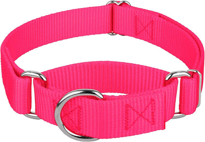 Country Brook Petz - Martingale Dog Collar - Heavy-Duty Training Collar with No Buckle - Service Dog Collar for All Pups - 10+ Warm Colors (Hot Pink, 1 Inch, Medium)
