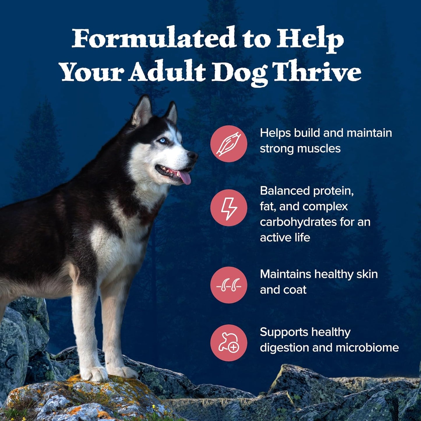 Blue Buffalo Wilderness Adult High-Protein Dry Dog Food with Real Salmon, Grain-Free, Made in The USA with Natural Ingredients, Salmon, 13-lb. Bag