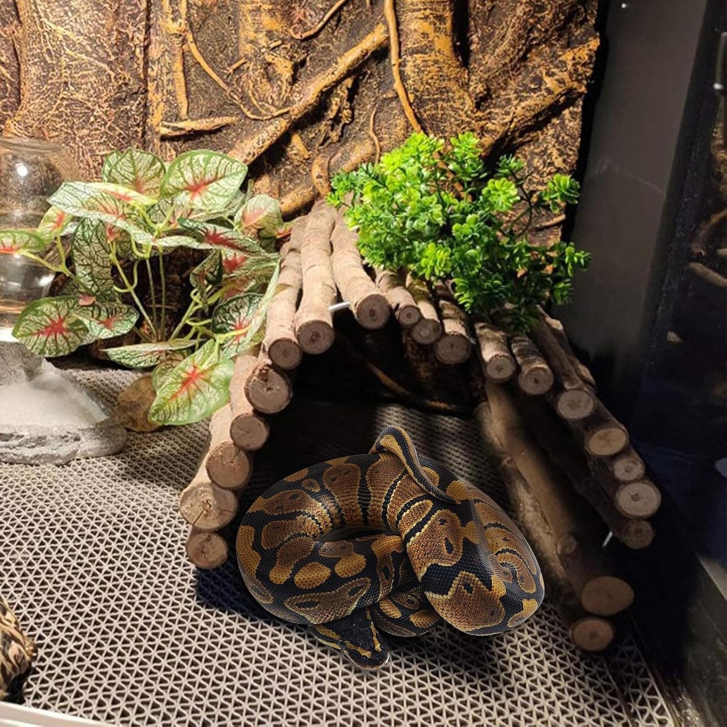 Hamiledyi Extra Large Tortoise Hide Reptile Hiding Cave Turtle Hut and Reptile Hideouts Natural Coconut Shells Hut Hermit Crab Climbing Toys for Spider Snake Chameleon