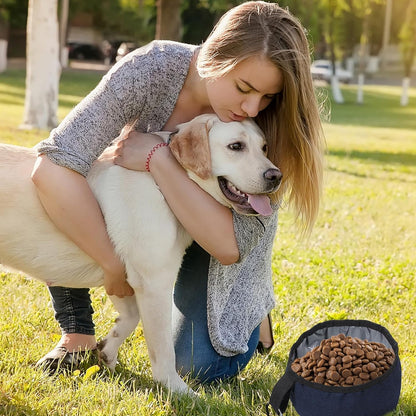 2 Pcs Foldable Portable Dog Bowls for Travel, 40 oz Water and Food Bowl for Dog, Puppy Waterproof Wear-Resistant Oxford Cloth