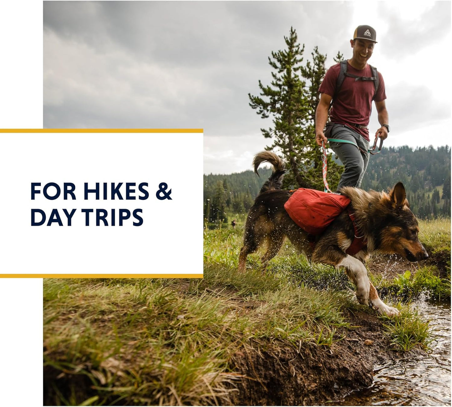 Ruffwear, Front Range Day Pack, Dog Backpack with Saddlebags, 5-Point Adjustment, 3 Leash Points, Padded Handle, Internal Mesh Pockets, Reflective Trim, Light Loop, Basalt Gray, Large/X-Large