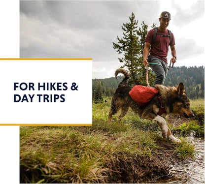 Ruffwear, Front Range Day Pack, Dog Backpack with Saddlebags, 5-Point Adjustment, 3 Leash Points, Padded Handle, Internal Mesh Pockets, Reflective Trim, Light Loop, Basalt Gray, Large/X-Large