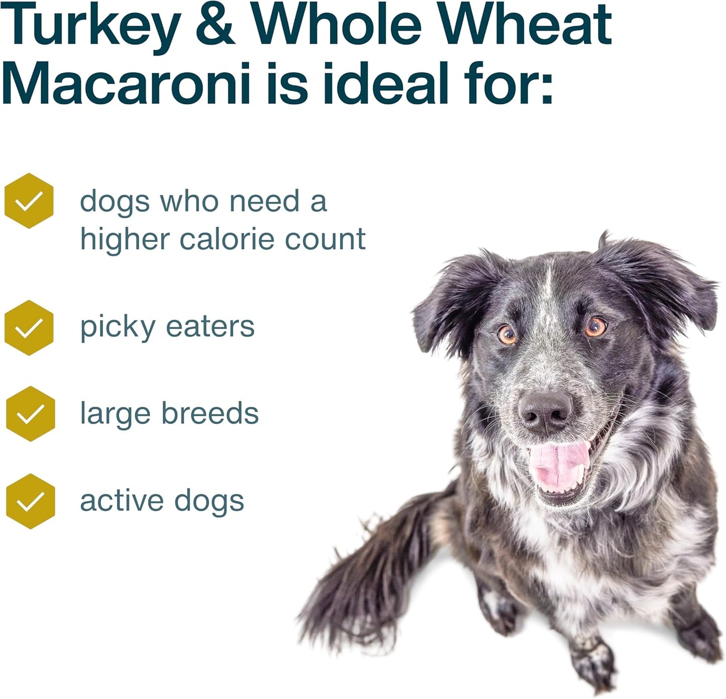 JustFoodForDogs Frozen Fresh Dog Food, Complete Meal or Topper, Turkey & Whole Wheat Macaroni Human Grade Recipe, 18 oz (Pack of 7)