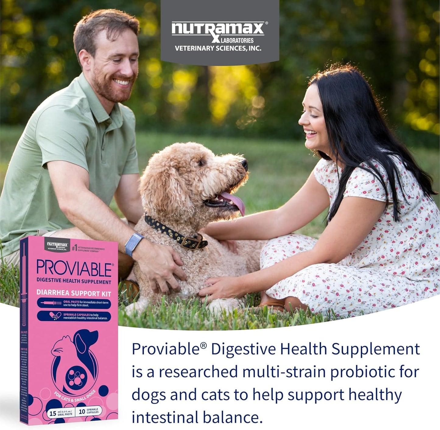 Nutramax Proviable Probiotics for Small Dogs and Cats, Diarrhea Support Kit, Digestive Health Supplement with Multiple Strains of Bacteria, Plus Prebiotics, Kaolin and Pectin, 15 ml Paste and 10 Capsules