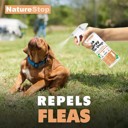 Flea Spray for Dogs, Gentle & Effective Flea Treatment for Pets, 16 oz (475mL)