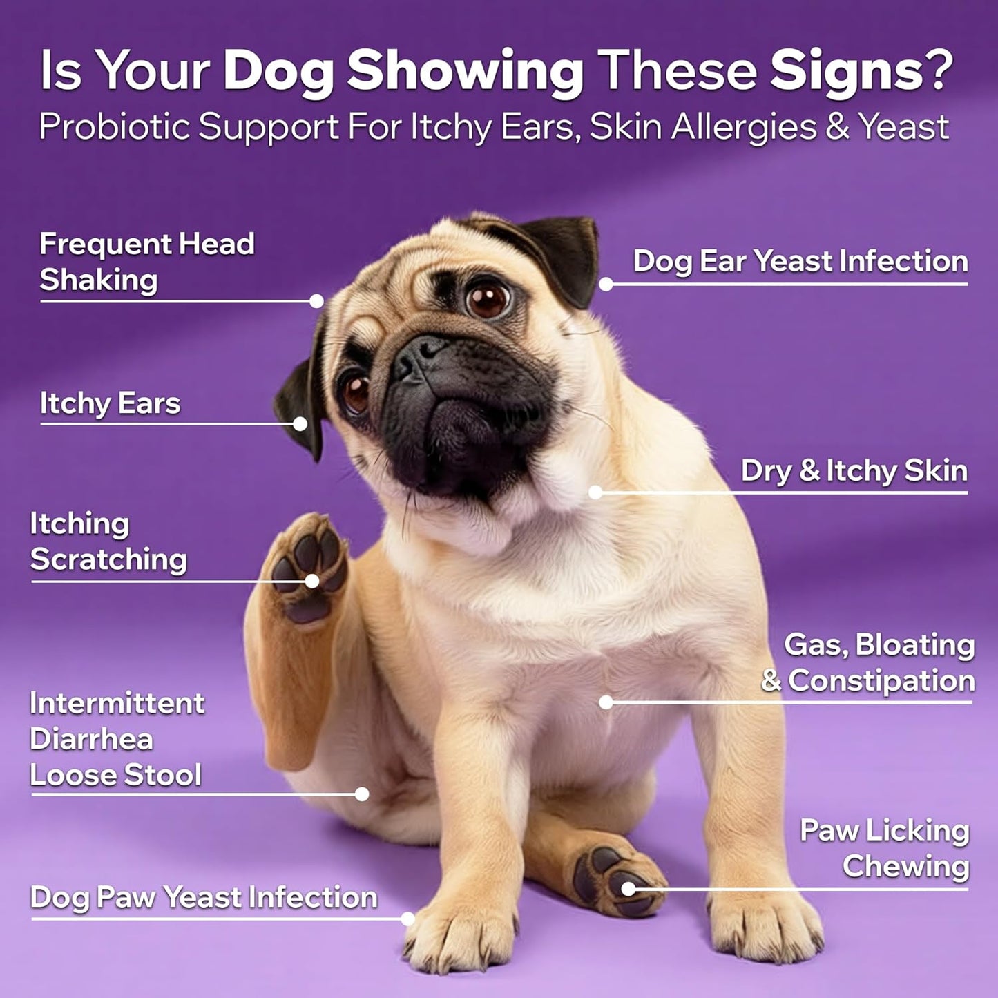 Dog Probiotics for Yeast, Itchy Skin and Itchy Ears, Allergy Relief, Daily Immune Support with Prebiotic & Digestive Enzymes (Gut Health) for Dogs, Reduce Diarrhea, Constipation & Gas Relief - 90ct