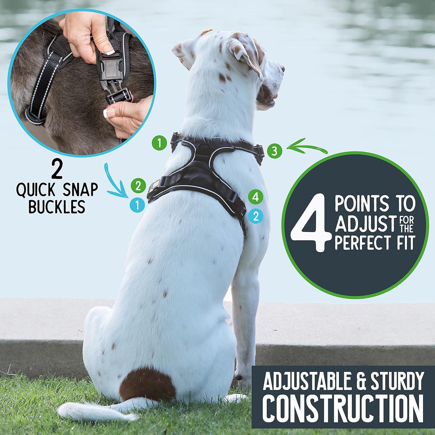 Pet Craft Supply Premium Dog Harness - Small