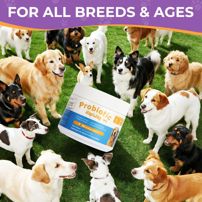 Dog Allergy and Immune Relief Chews - Probiotics for All Breeds and Ages Dogs, Support Gut Digestive Health, Anti Diarrhea, Constipation Relief, Dog Supplements - Pork Flavor - 90 Soft Chews