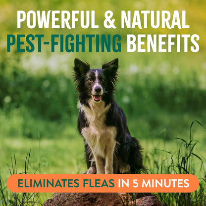 TropiClean Natural Maximum Strength Flea and Tick Spray for Dogs, 16oz