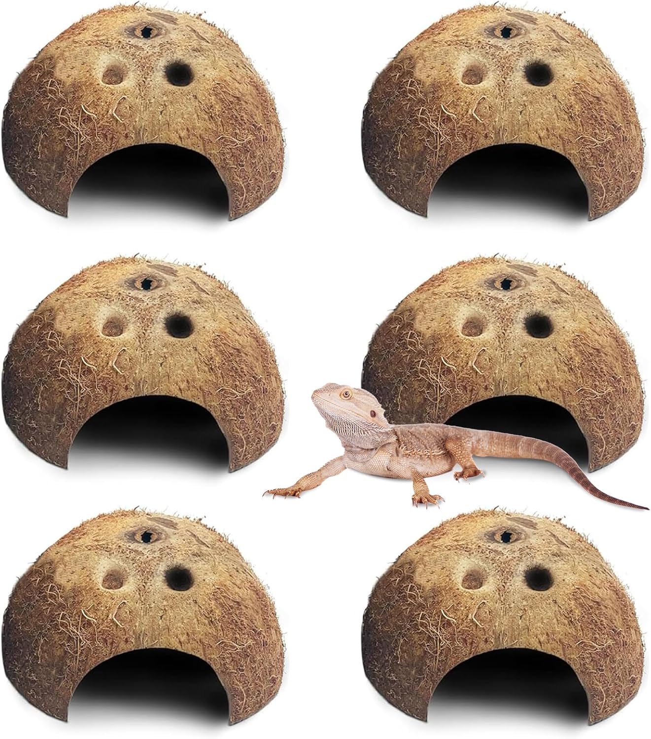 PINVNBY Natural Coconut Reptile Hideouts Lizard, Coco Hut Hermit Crab Hut Aquarium Fish Hide Cave for Small Reptile Crested Gecko Leopard Gecko Spider Snail Climber Toys (6 PCS Natural Surface)