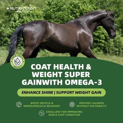 Horse Weight Gain Supplement – Omega-3 Flaxseed Formula, Natural High-Calorie Support for Healthy Weight & Shiny Coat, Easy-to-Digest High-Fat Horse Supplement – 420g