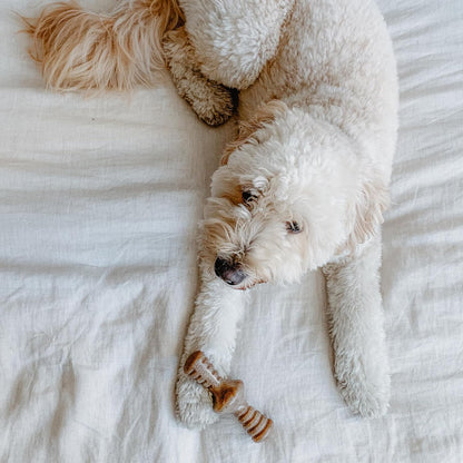 Lumabone Real Bacon Medium 3-Pack Durable Dog Chew Toys for Aggressive Chewers, Made in USA – Wishbone, Zaggler, Stick