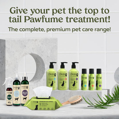 Pawfume Dog Wipes 4 x 100 Count, Pet Wipes – Hypoallergenic & Gentle Dog Wipes for Eyes, Face, Butt, and Paws – Cleaning & Deodorizing, Grooming Tear Stain Wipes for Puppy, Adult Dogs & Cats