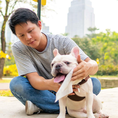 110 Pack Pet Grooming Wipes - Large & Extra-Large Sizes - Lavender, Aloe, & Unscented Variations - Hypoallergenic & Extra Durable - Perfect for Dogs & Cats, 8.6"x7.8"