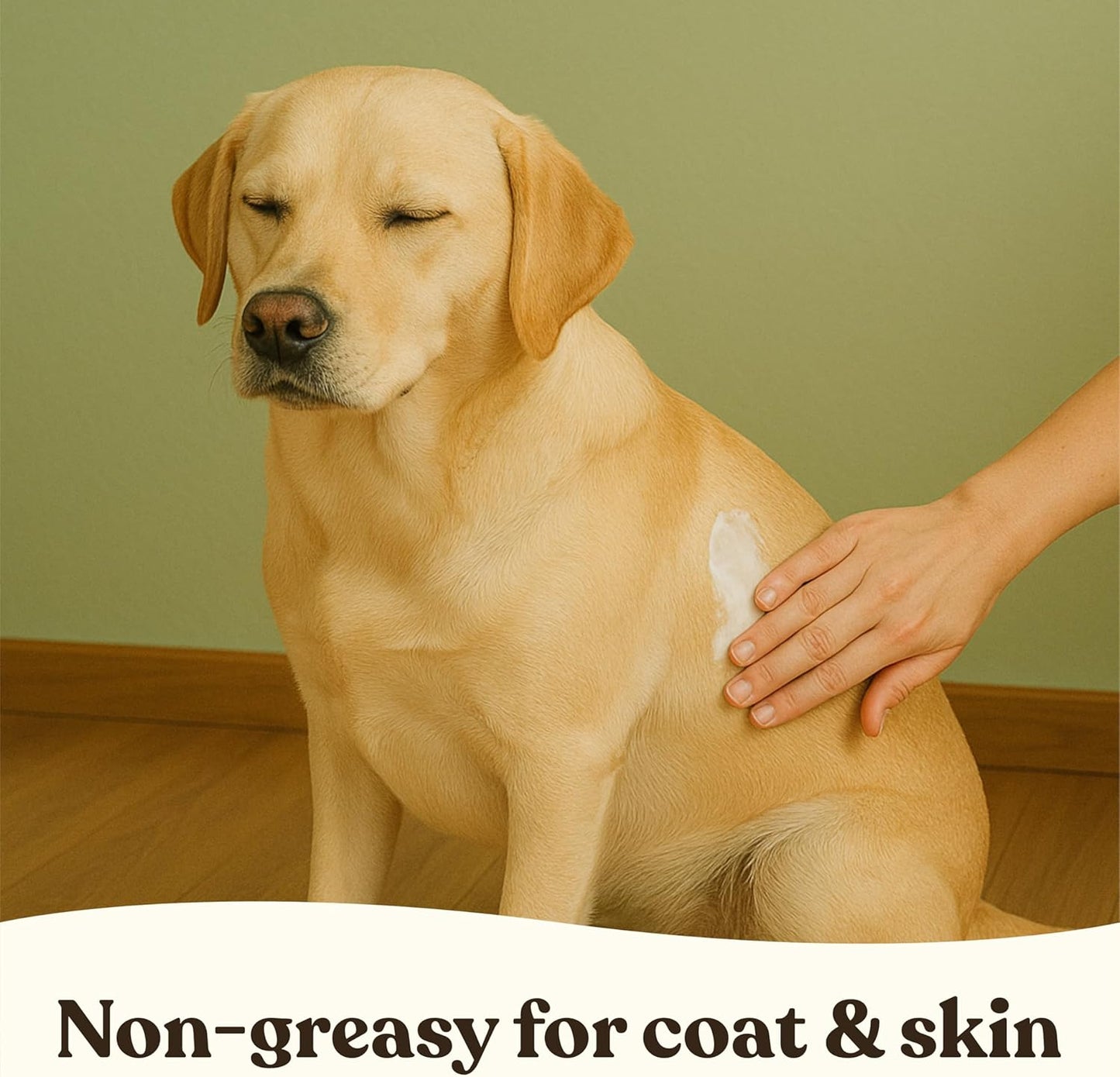 Gentle Creatures Leave-in Dog Conditioner Lotion - Fragrance-Free, Dye-Free - 95% Natural Ingredients - 8 Fl Oz