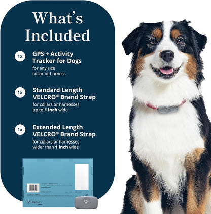 Petivity Smart GPS and Activity Pet Tracker for Dogs Powered by Purina, Waterproof Real Time Tracking GPS Dog Collar, Downloadable App, Subscription Required