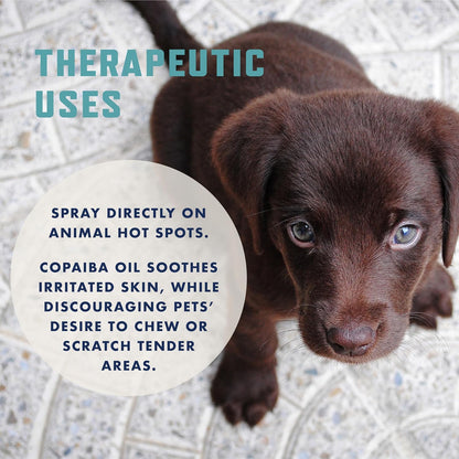 Rocco & Roxie No Chew Spray for Dogs, Bitter Dog Training Aid, Alcohol-Free Puppy Deterrent Formula with Calming Copaiba Oil, Safe Anti-Chew Solution for Skin, Furniture, Wounds & Plants - 8 oz